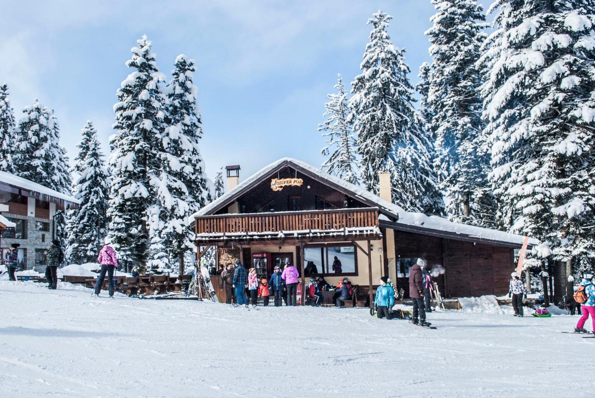 Vila Ski Chalet Borovec Exteriér fotografie