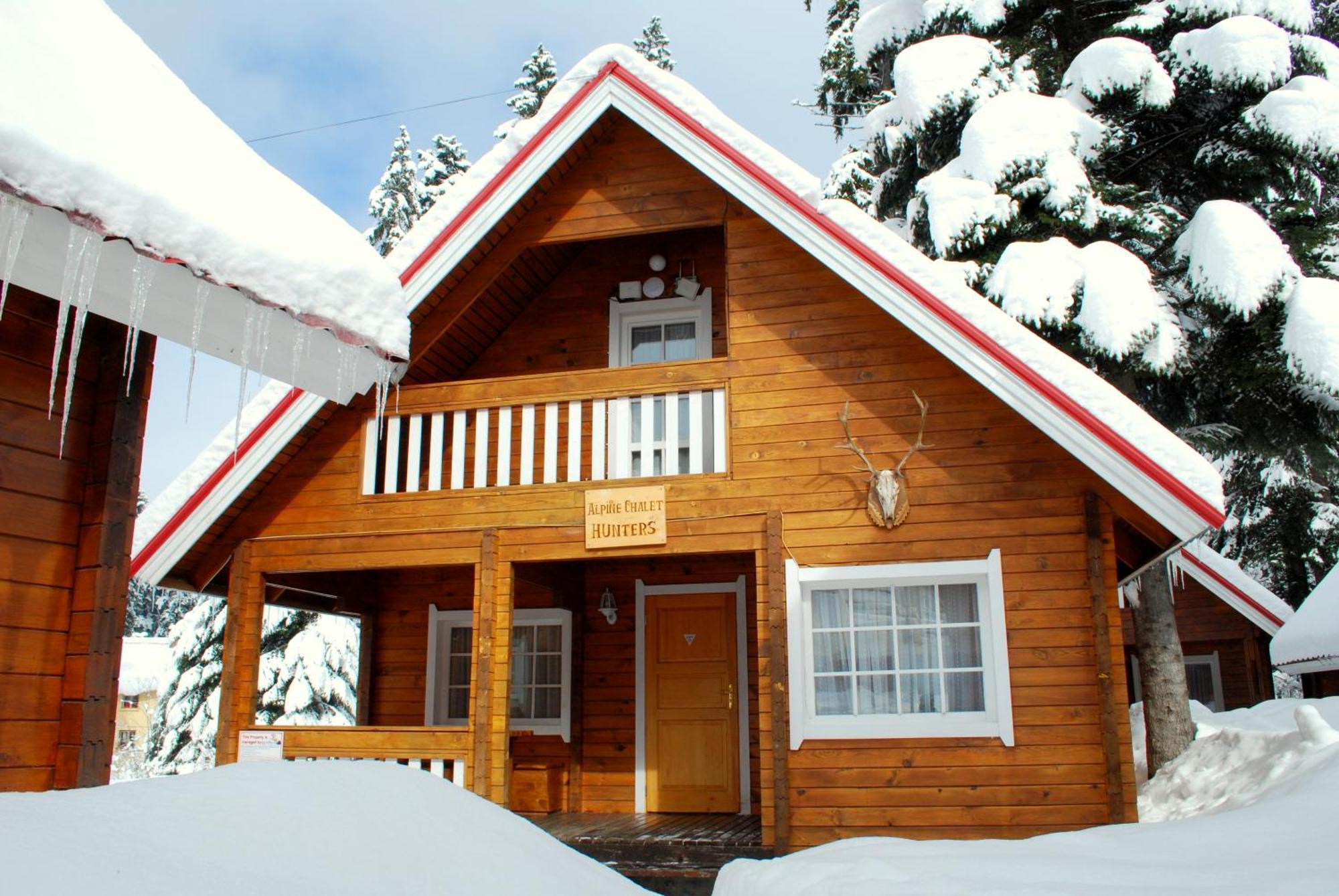 Vila Ski Chalet Borovec Exteriér fotografie