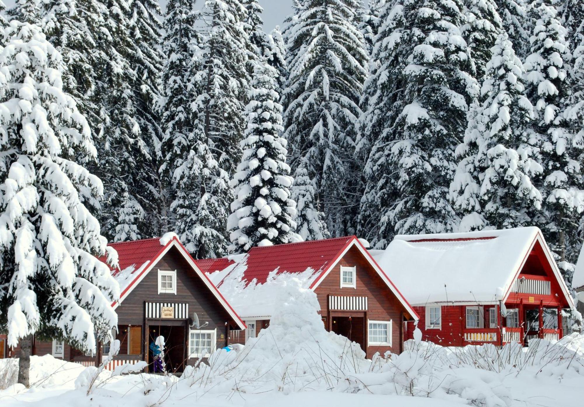 Vila Ski Chalet Borovec Exteriér fotografie