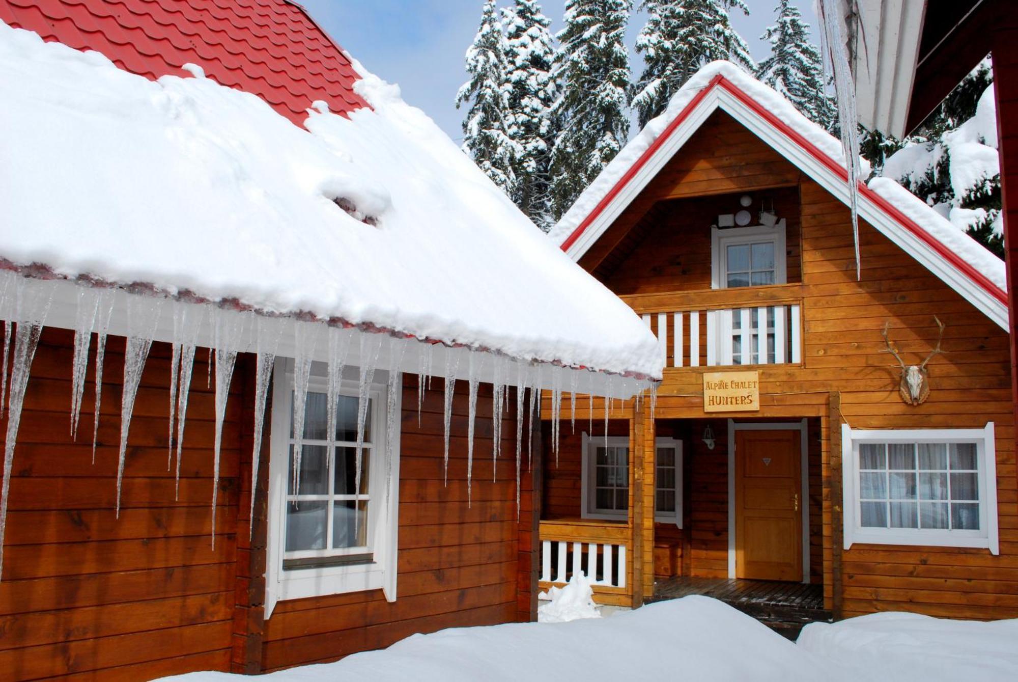 Ski Chalet Borovec Pokoj fotografie